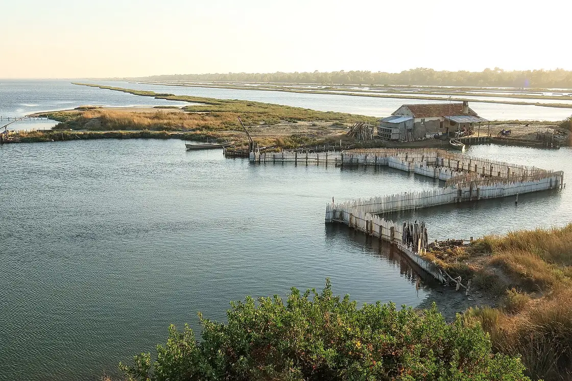 A fishermen's house and reed fish traps on the Karavasta Lagoon in Divjaka-Karavasta National Park