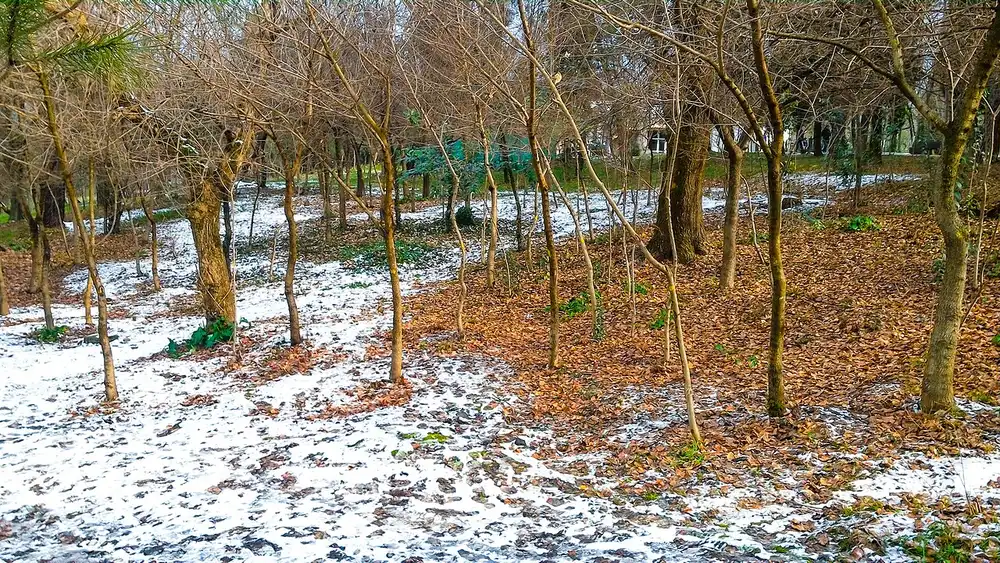 Green lawns, trees and paths in the Grand Park of Tirana, the family park beside the artificial lake