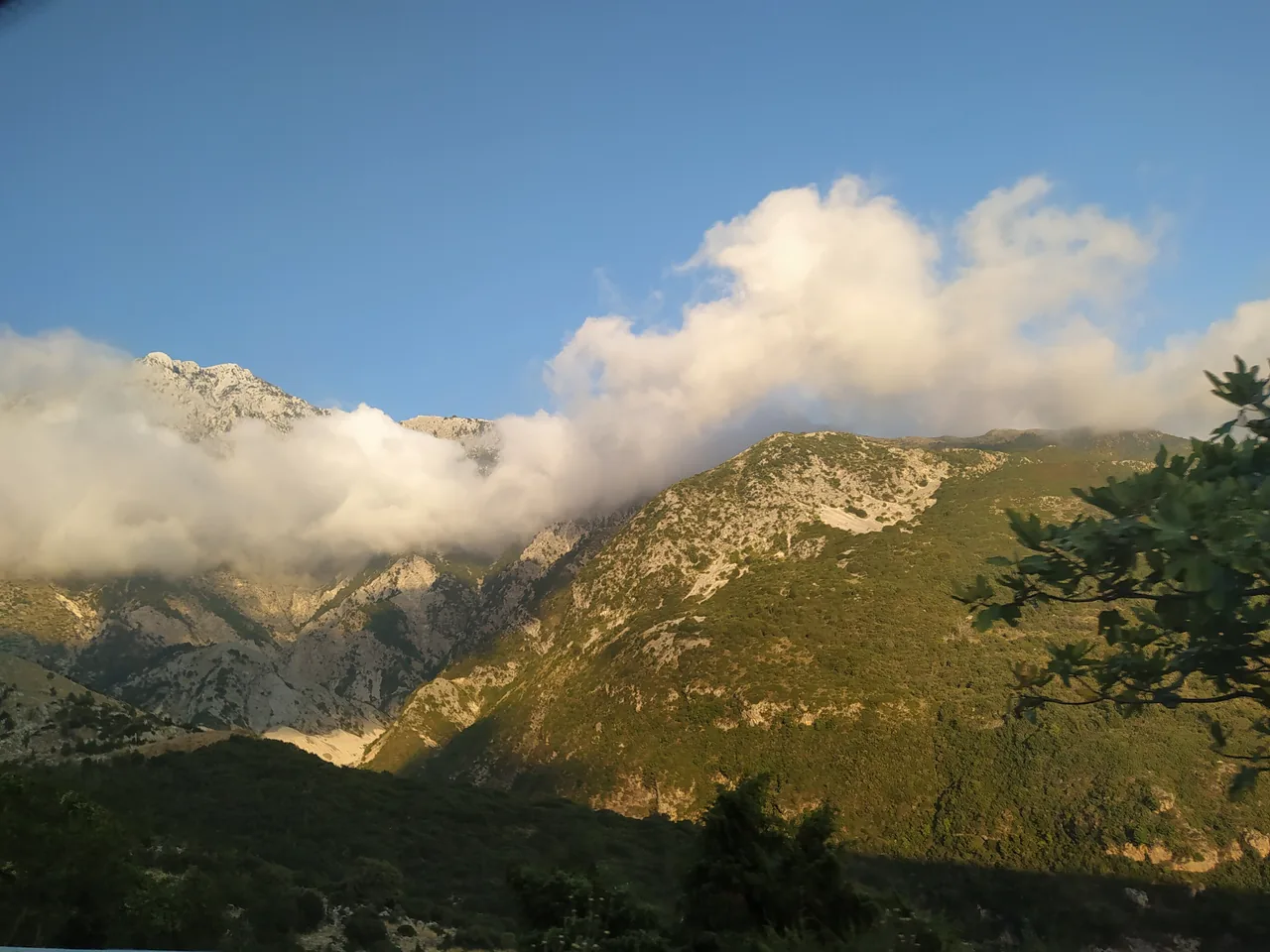 Cloud draped over the pine-forested Ceraunian peaks at the top of the Llogara Pass, catching the low sun