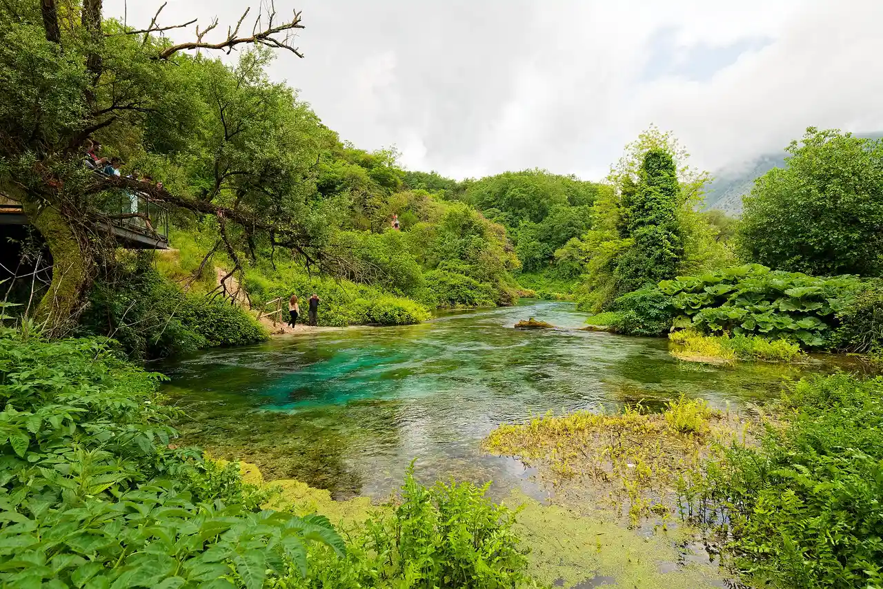 The deep blue pupil of the Blue Eye spring ringed by turquoise water and green trees