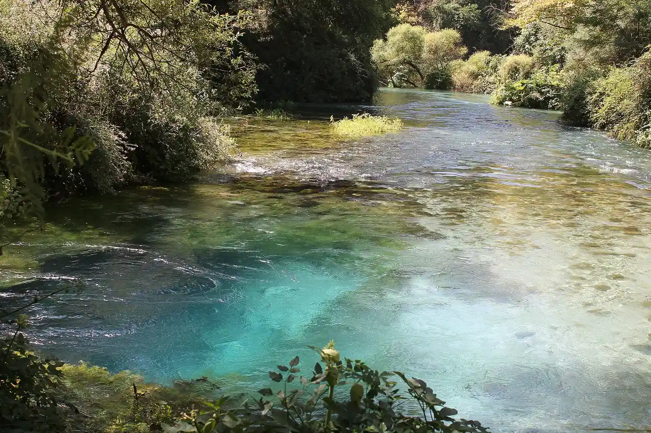 The deep blue water of the Blue Eye spring framed by overhanging branches