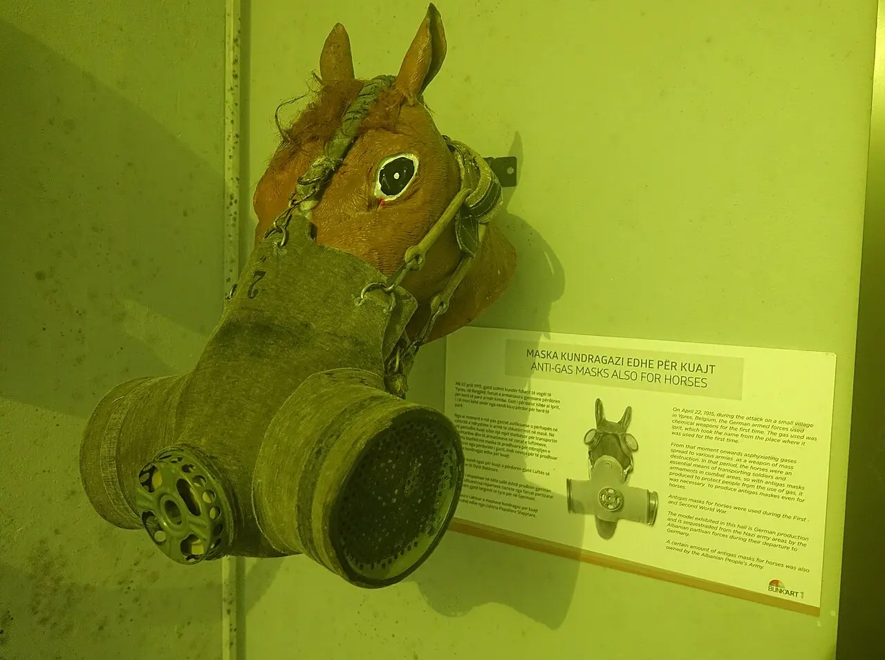 A leather anti-gas mask made for a horse displayed in a case at Bunk'Art with its label