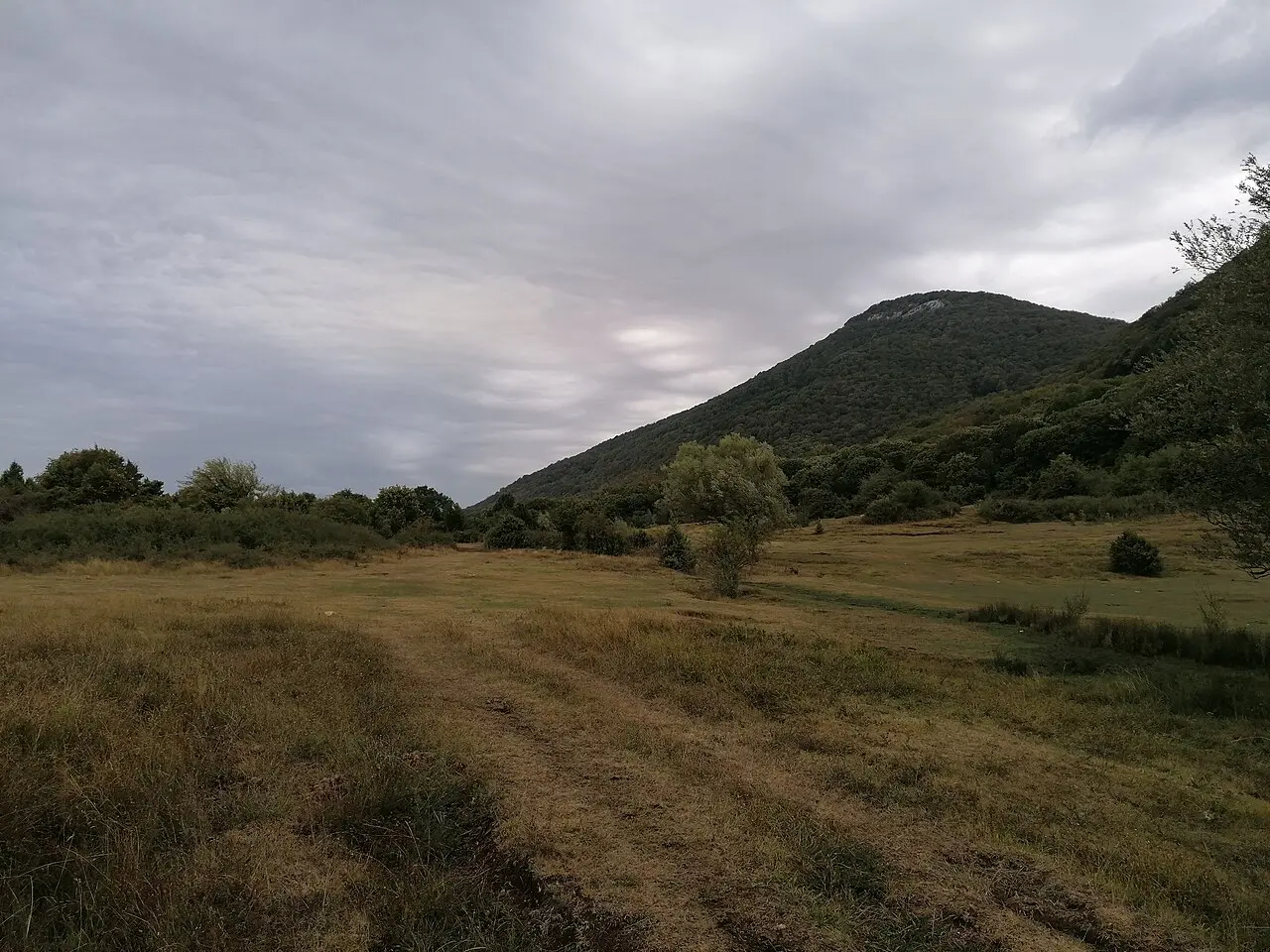 The open plateau of Mount Dajti under cloud with the wooded ridge behind