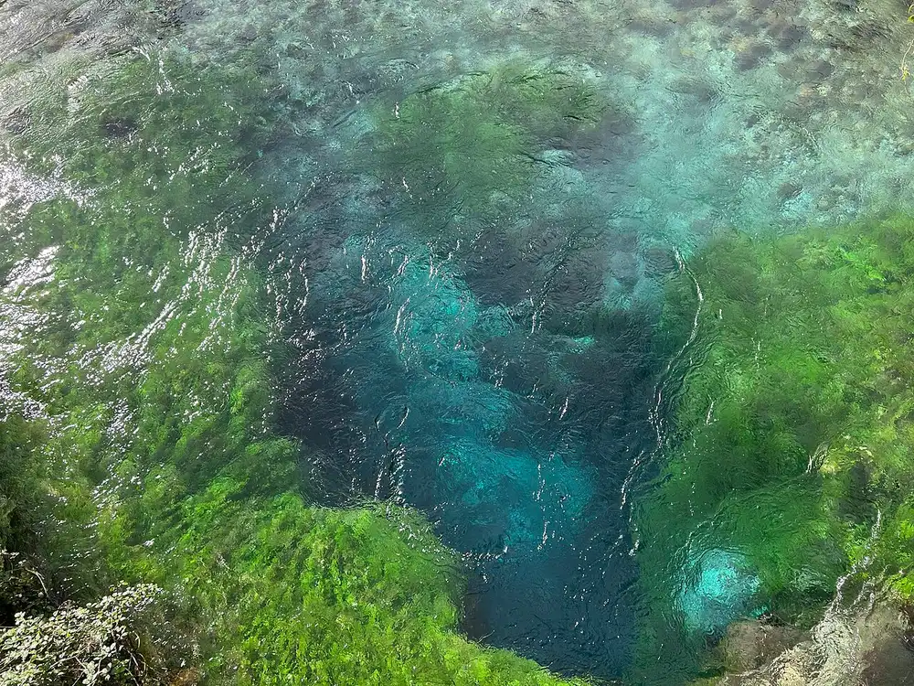 The dark blue centre of the Blue Eye spring ringed by bright green weed and clear water