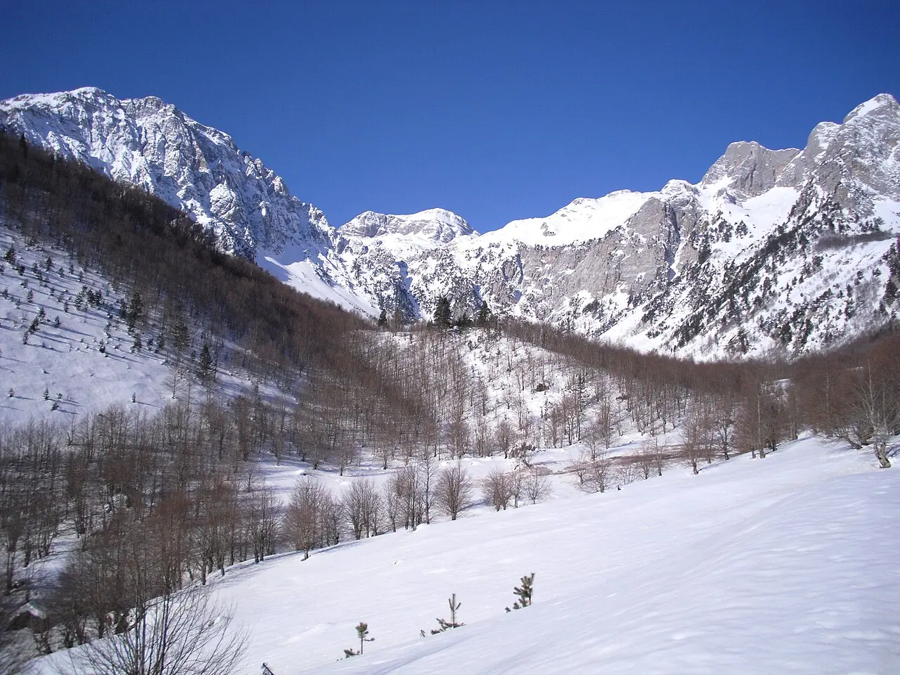 The hanging glacial valley of Kukaj above the Valbona floor, the usual start for Rosni