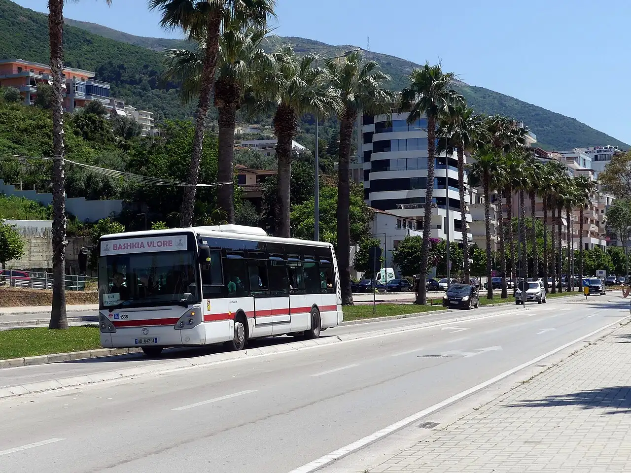 A white-and-red public transport bus on a palm-lined boulevard in Vlora, Albania, with apartment blocks behind