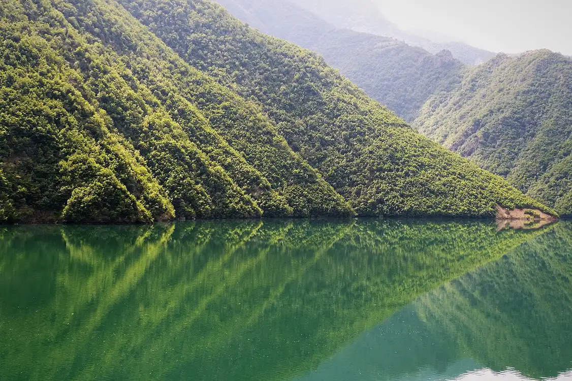 Steep forested mountainsides mirrored in the still emerald water of Lake Koman in northern Albania