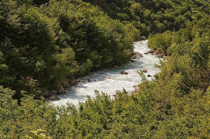 The clear white-water Valbona river running through green forest in the valley floor
