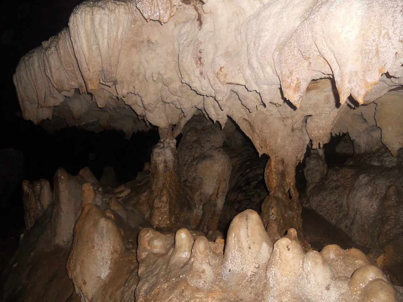 Pale flowstone and stalactites hanging over a row of glossy rounded stalagmites inside a dark cave, lit by flash