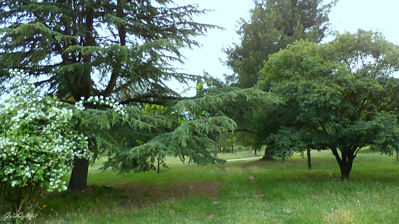 The public park in central Permet with mature trees and walking paths