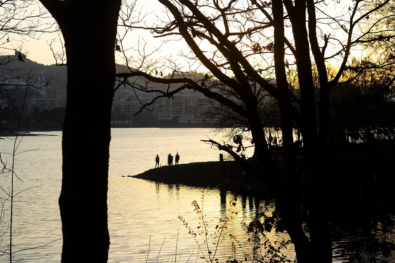 The artificial lake of Tirana's Grand Park at sunset, with trees silhouetted on the shore and the sun low over the water