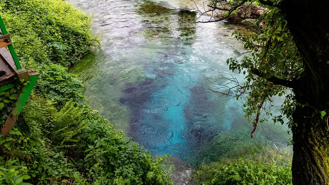 The turquoise pool of the Blue Eye spring framed by green forest