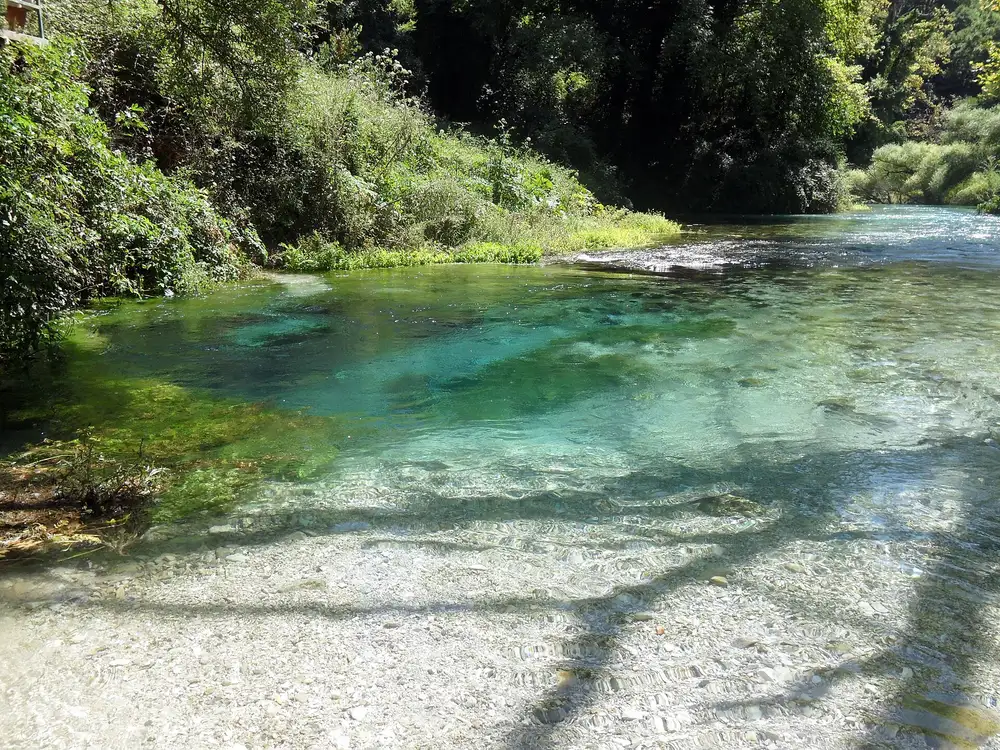 The deep blue-green water of the Blue Eye spring surrounded by clear shallows over pale gravel and green banks