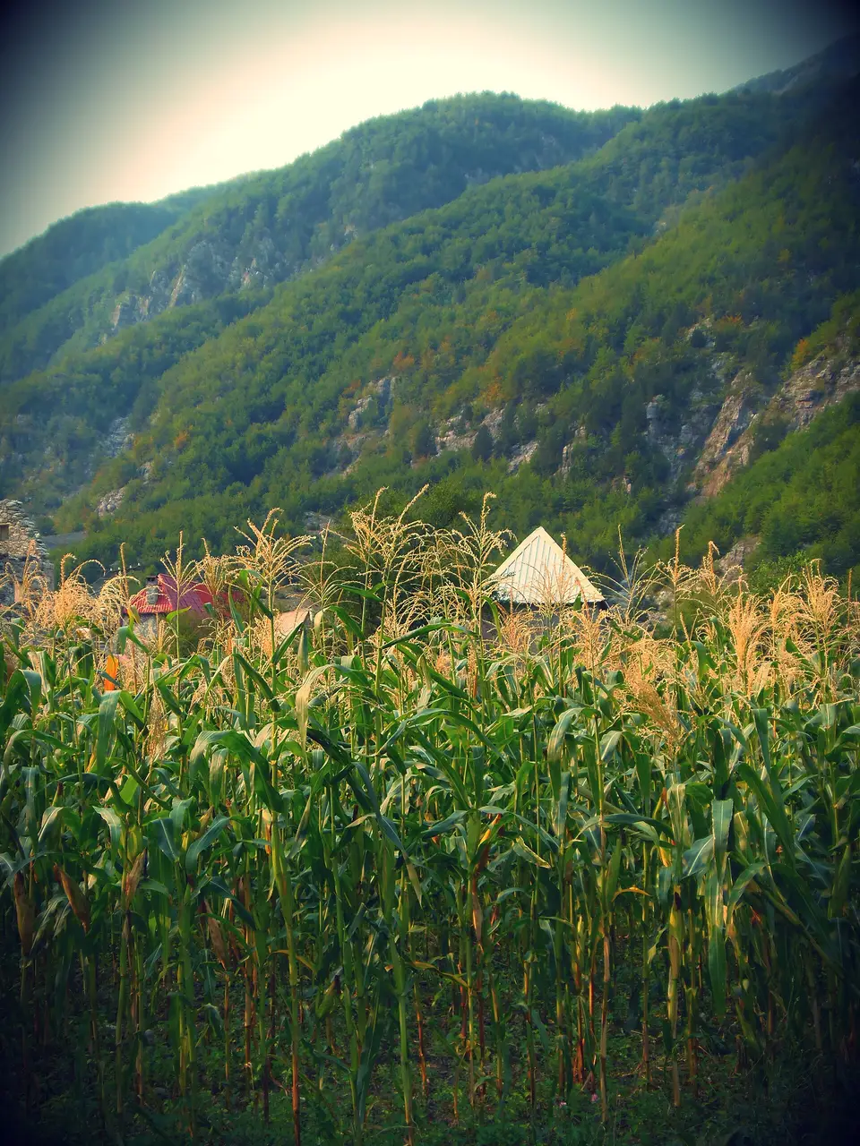 A traditional Theth farmhouse with a steep stone roof against the peaks