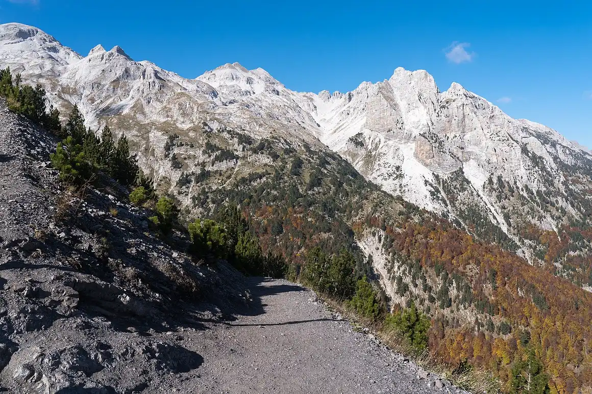 The broad, forested Valbona valley with a dry river bed and mountains on both sides