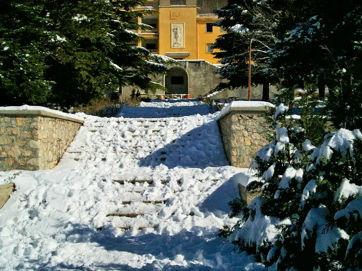 Stone steps covered in fresh snow between snow-laden fir trees on Mount Dajti, with an old yellow building at the top