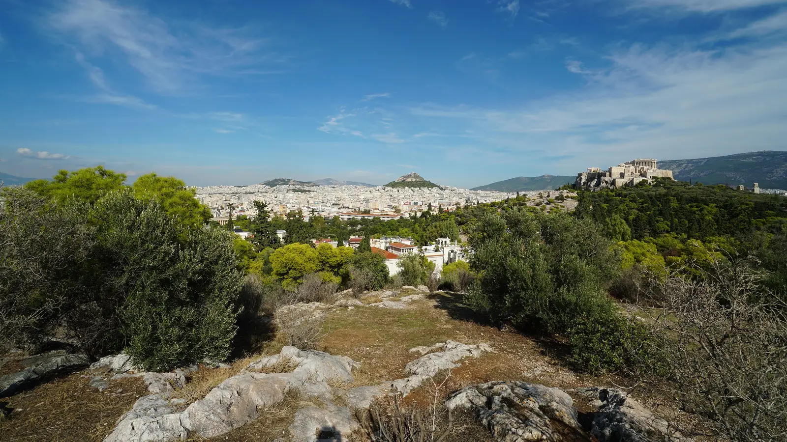 Athens spread out under a blue sky, seen from the wooded hill of the National Observatory, with Mount Lycabettus in the middle distance and the Acropolis on its rock to the right