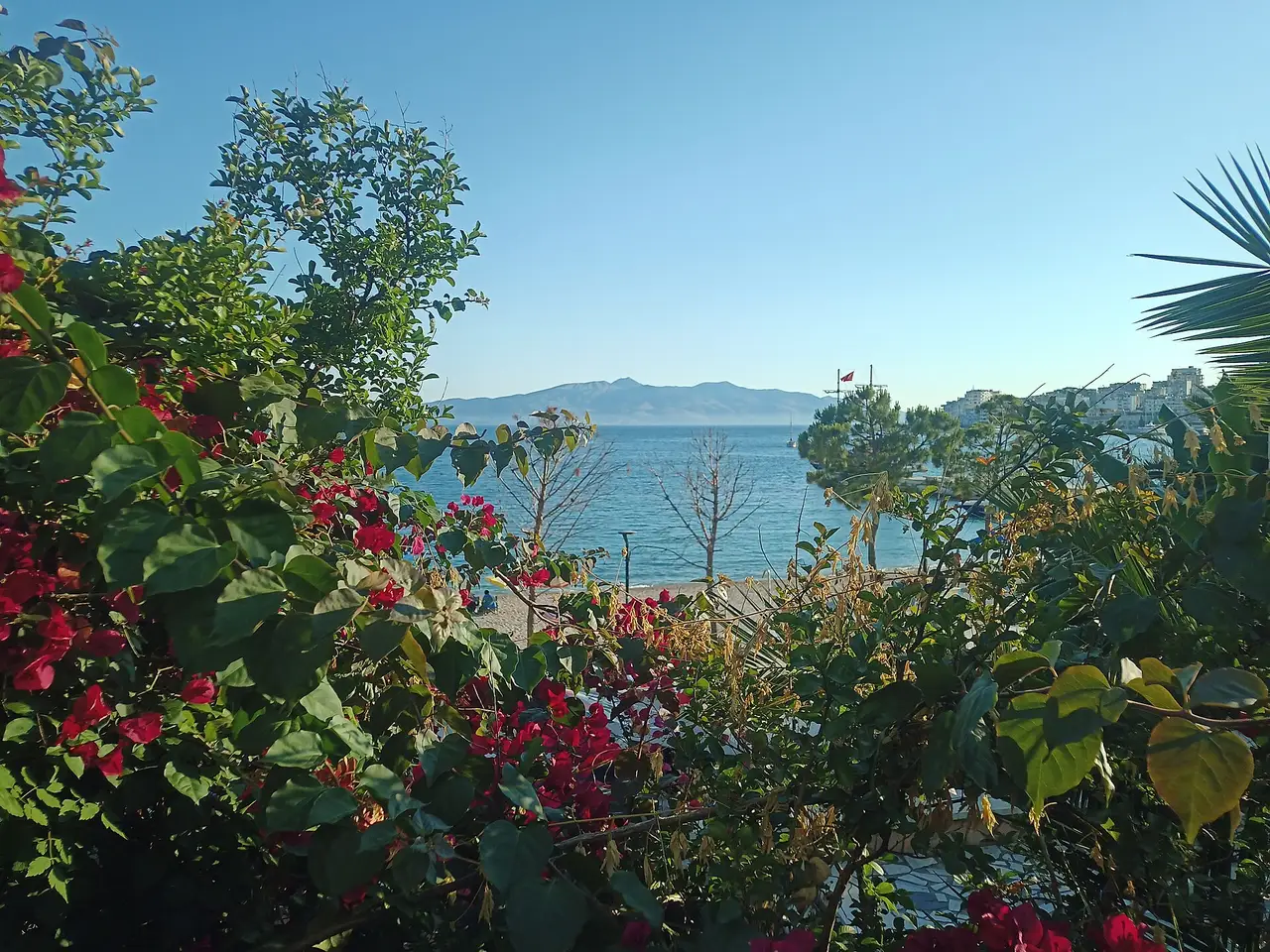 The bay at Saranda framed by bougainvillea, with the beach below and the mountains across the channel