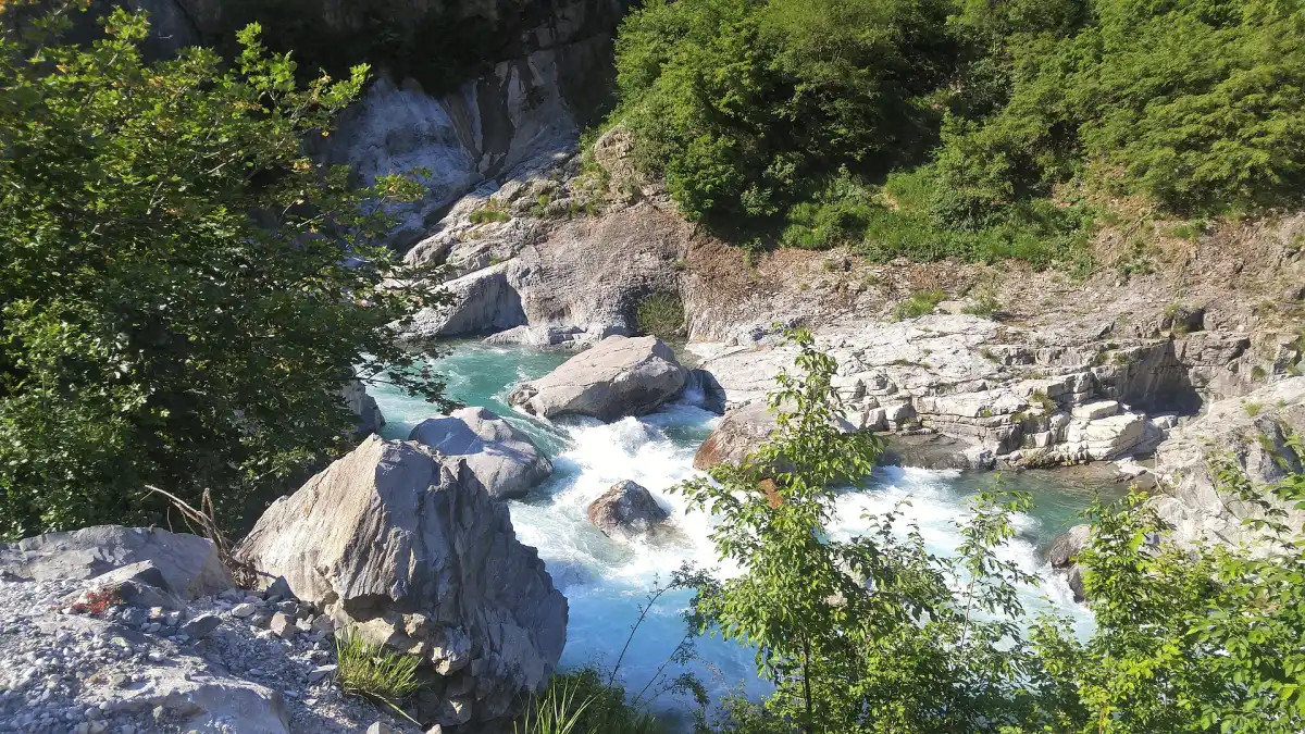 Clear Valbona river flowing over pale stones through forested mountains