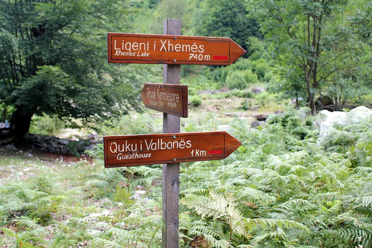Wooden trail signpost among trees in the Valbona Valley