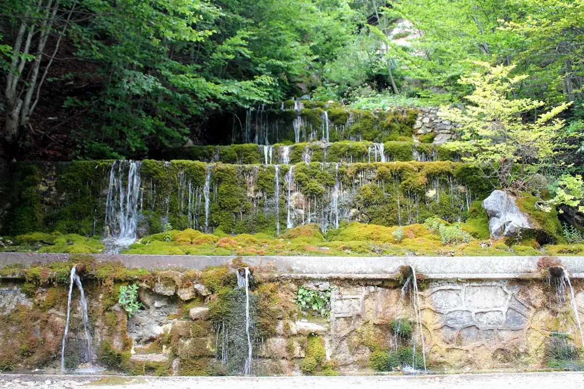 Water falling through mossy rock and trees at a Valbona waterfall
