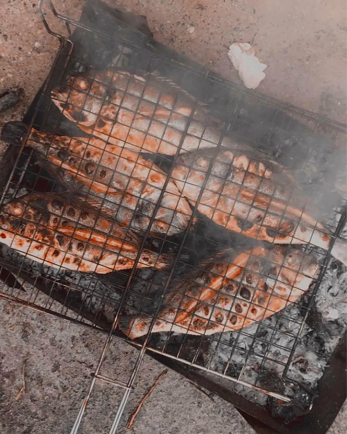 Whole fish grilled on a plate, the default Riviera seafood order