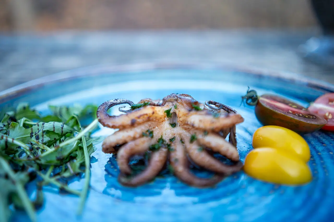 Grilled octopus served with vegetables and fruit on a plate