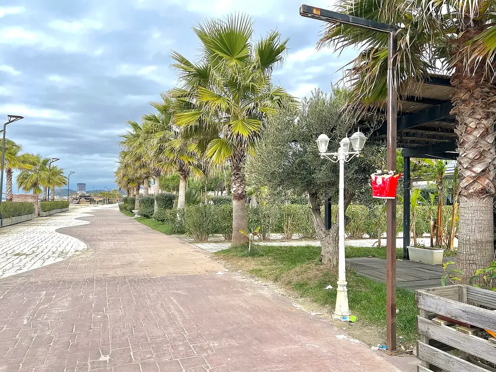 Palm trees lining a paved walkway through the Golem resort area